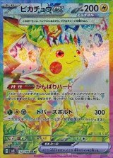 【ポケカピカチュウのみ確定】magi公式 5万円福袋 1枚 ピカチュウ - magi通販【ポケモンカード専門】