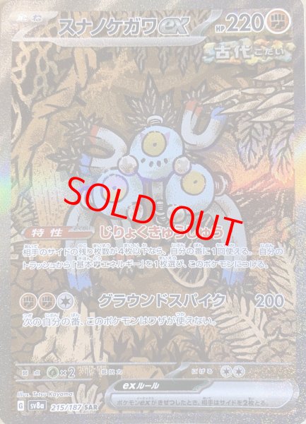 画像1: スナノケガワex (SAR) {215/187} [SV8a/テラスタルフェスex] [SV] (1)