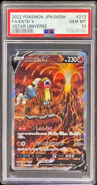 画像1: 【PSA10】エンテイV (SAR) {213/172} [S12a] (1)