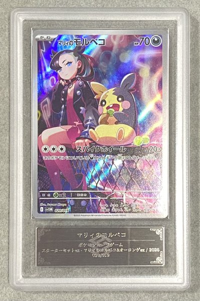 画像1: 【ARS10】 マリィのモルペコ 《AR仕様》 {020/019} [SVOM/スターターセットex マリィのモルペコ&オーロンゲex] [SV] (1)