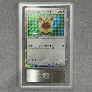 PSA9】ポンチョを着たピカチュウ (プロモ) {230/XY-P