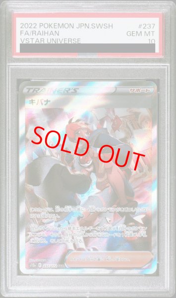 画像1: 【PSA10】 キバナ (SAR) {237/172} [S12a/VSTARユニバース] [SS] (1)