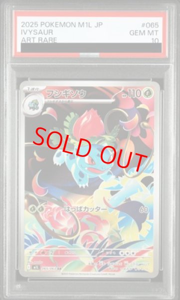 画像1: 【PSA10】 フシギソウ (AR) {065/063} [M1L/メガブレイブ] [MEGA] (1)