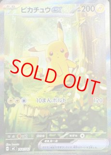 ピカチュウ - magi通販【ポケモンカード専門】 (Page 2)
