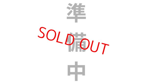 画像1: 【PSA10】 アーマーガアV (CSR) {248/184} [S8b/VMAXクライマックス] [SS] (1)