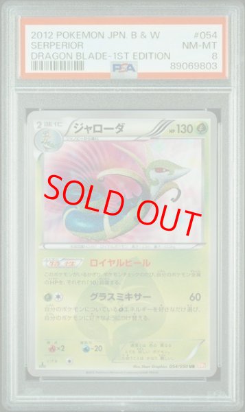 画像1: 【PSA8】ジャローダ   (UR) {054/050} [BW5r] (1)