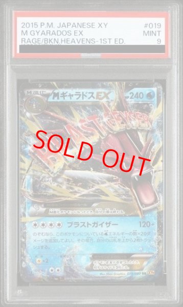 画像1: 【PSA9】MギャラドスEX (RR) {019/080} [XY9] (1)