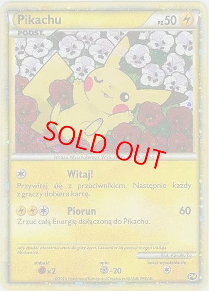 画像1: ピカチュウ 《PIKACHU WORLD/ポーランド語/Kanako Eo》 (プロモ) [海外版] (1)