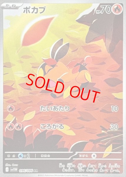 画像1: 【状態ランクA】ポカブ (AR) {096/086} [SV11W/ホワイトフレア] [SV] (1)
