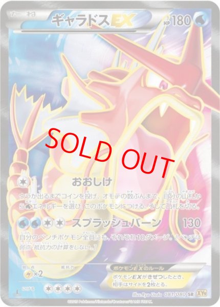 画像1: 【状態ランクA】ギャラドスEX   (SR) {081/080} [XY9] (1)