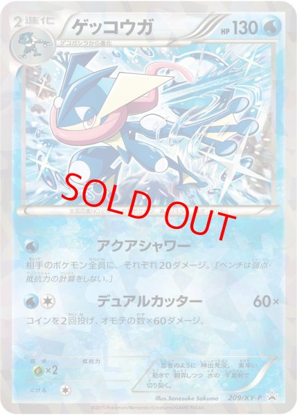 画像1: ゲッコウガ (プロモ) {209/XY-P} [-] (1)