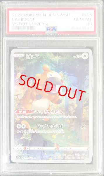 画像1: 【PSA10】 ビッパ (AR) {204/172} [S12a/VSTARユニバース] [SS] (1)