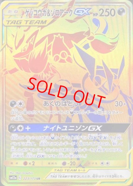 画像1: ゲッコウガ&ゾロアークGX (UR) {223/173} [SM12a/タッグオールスターズ] [SM] (1)