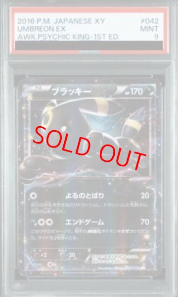 画像1: 【PSA9】ブラッキーEX   (RR) {042/078} [XY10] (1)