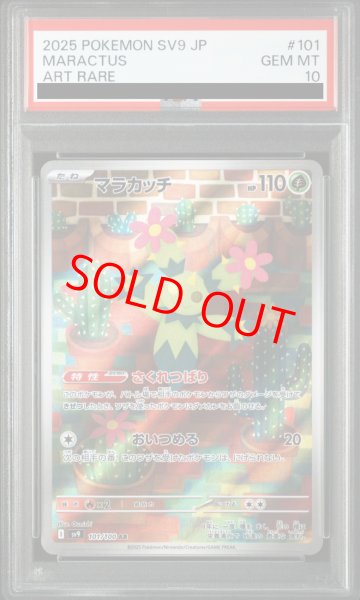 画像1: 【PSA10】 マラカッチ (AR) {101/100} [SV9/バトルパートナーズ] [SV] (1)