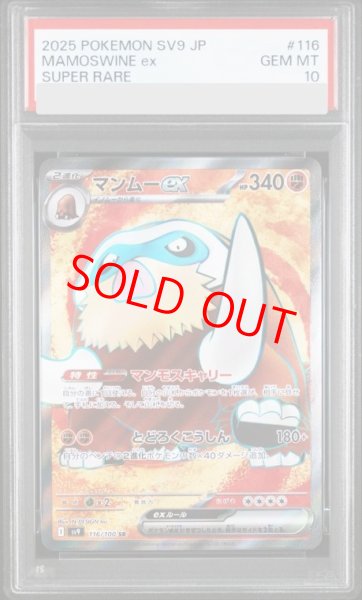 画像1: 【PSA10】 マンムーex (SR) {116/100} [SV9/バトルパートナーズ] [SV] (1)