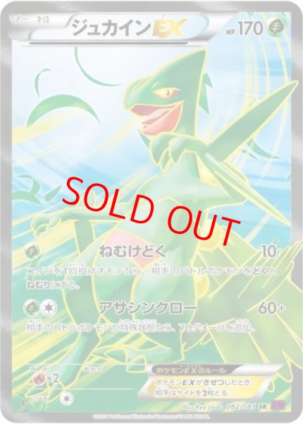 画像1: 【状態ランクB】ジュカインEX   (SR) {082/081} [XY7] (1)