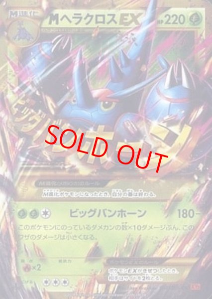 画像1: MヘラクロスEX   (UR) {104/096} [XY3] (1)